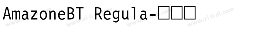 AmazoneBT Regula字体转换